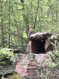 img_20250421_181101.jpg