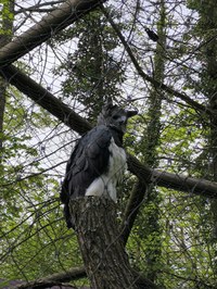 img_20250421_181609.jpg