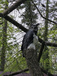 img_20250421_181611.jpg