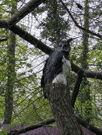 img_20250421_181613.jpg