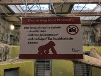 Thomas mag keine Kameras