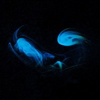IMG_20250409_210400.jpg