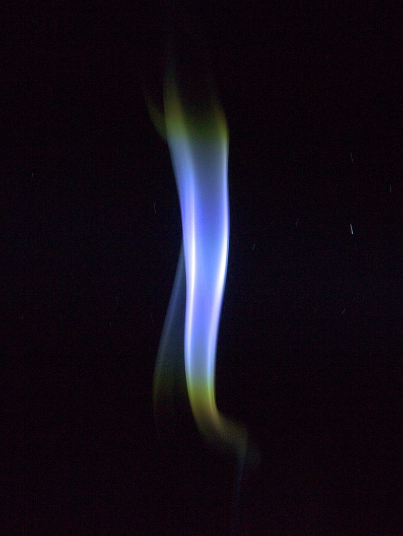 P1130769.jpg