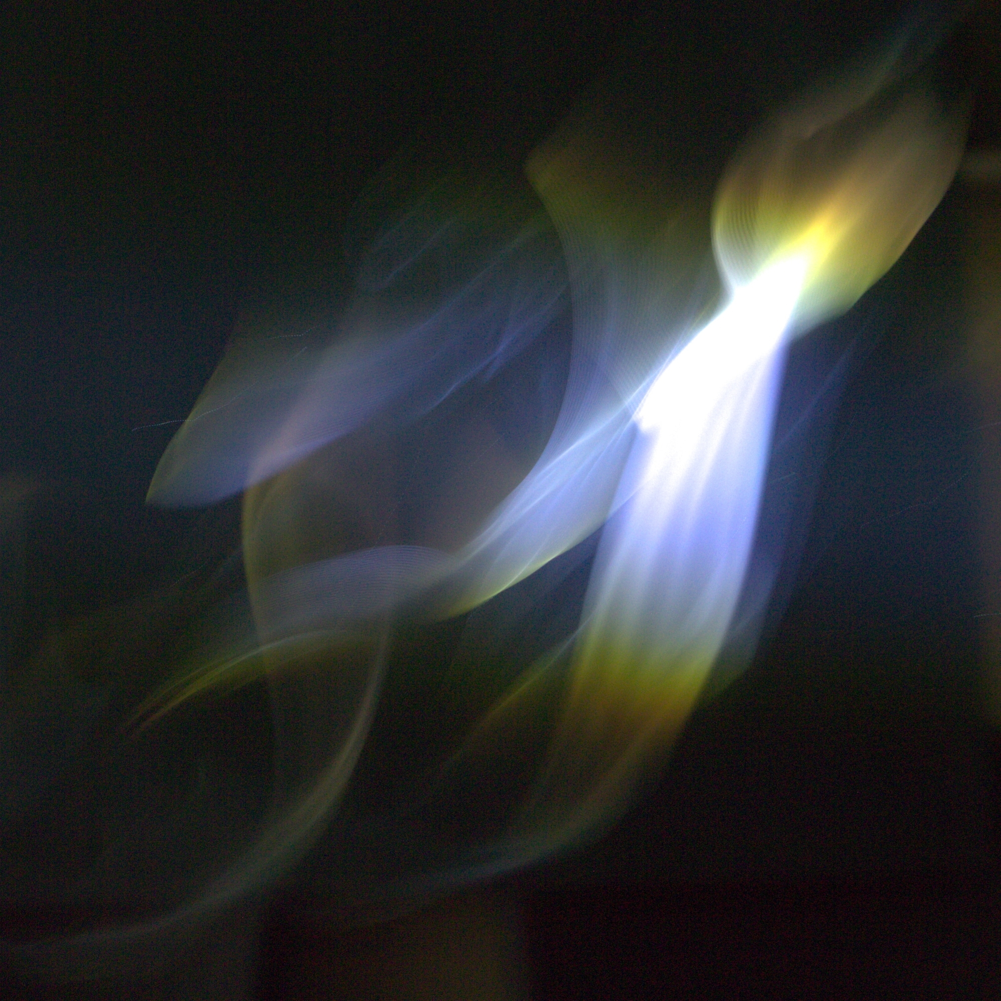 P1130801.jpg