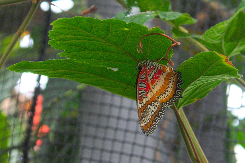 Botanischer Garten Augsburg