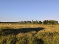 IMG_20250817_192258.jpg