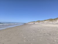 IMG_20250818_142938.jpg