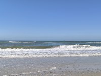 IMG_20250818_143319.jpg