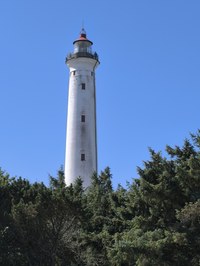 IMG_20250818_134712.jpg