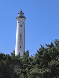 IMG_20250818_134714.jpg