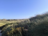 IMG_20250818_171514.jpg