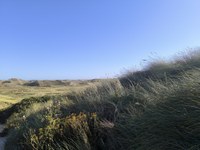 IMG_20250818_171515.jpg