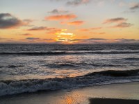 IMG_20250818_204434.jpg