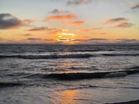 IMG_20250818_204437.jpg
