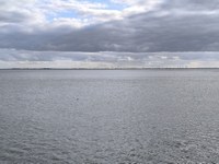 IMG_20250821_180412.jpg