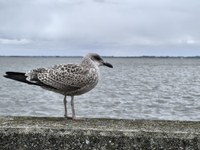 IMG_20250822_125726.jpg