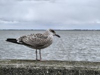 IMG_20250822_125728.jpg