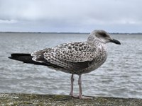 IMG_20250822_125754.jpg