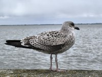 IMG_20250822_125757.jpg