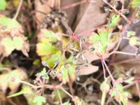 IMG_20250531_163631.jpg