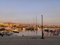IMG_20250602_062439.jpg