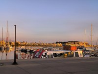 IMG_20250602_062443.jpg