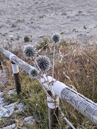 IMG_20250602_204157.jpg