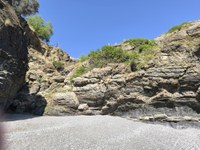 IMG_20250607_162031.jpg