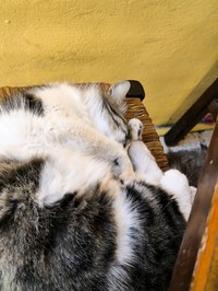 IMG_20250601_155217.jpg