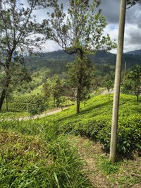 IMG_20251011_132141730_HDR.jpg