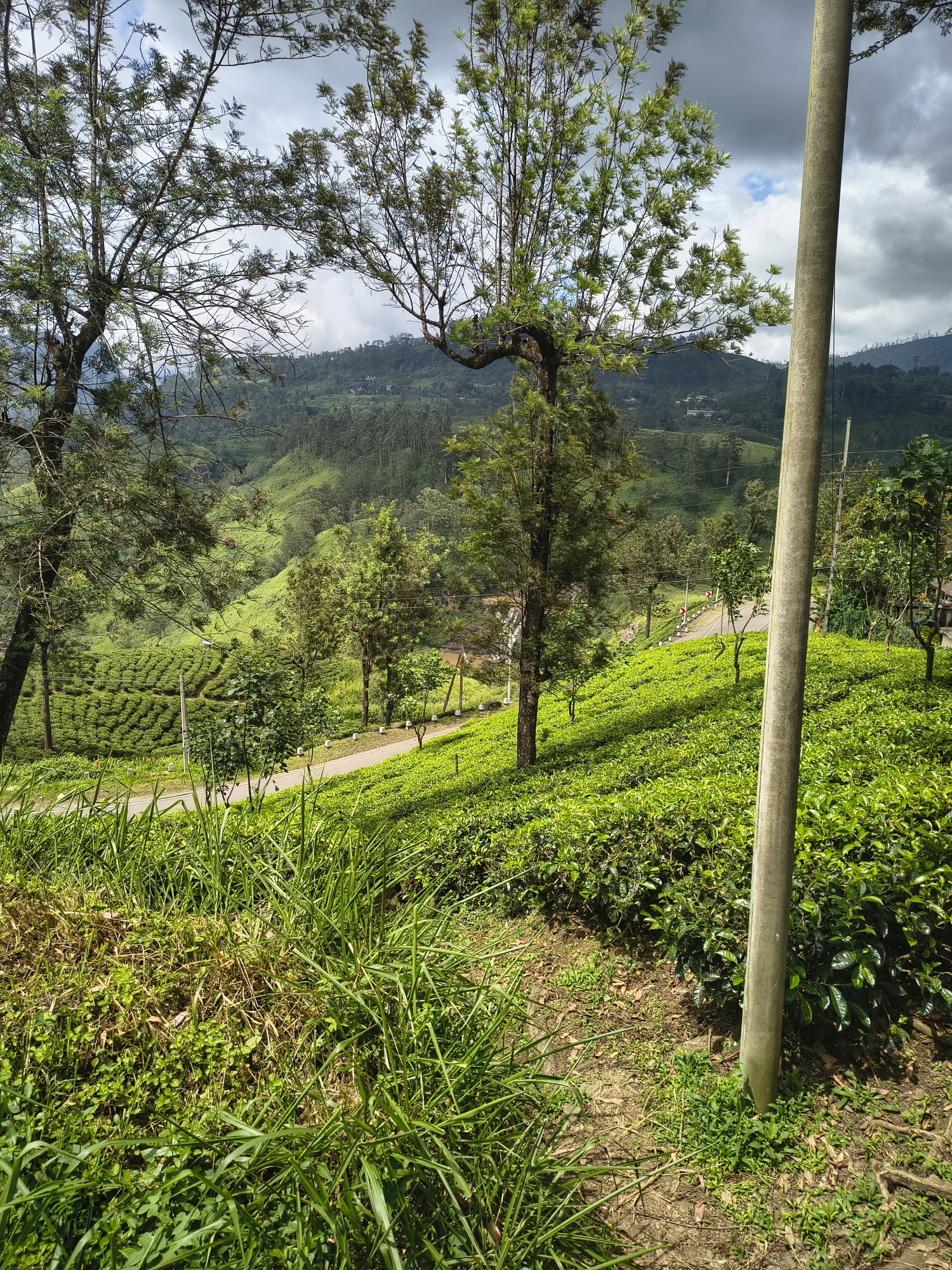 IMG_20251011_132141730_HDR.jpg