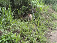 IMG_20251013_153140.jpg