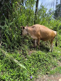 IMG_20251014_110254.jpg