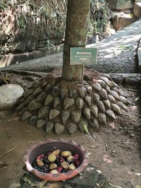 Beetbegrenzung aus Kokonüssen