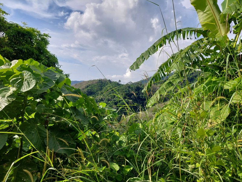 Ausblick vom Wanderweg