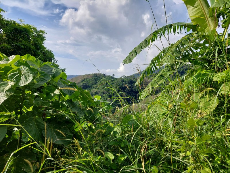 Ausblick vom Wanderweg