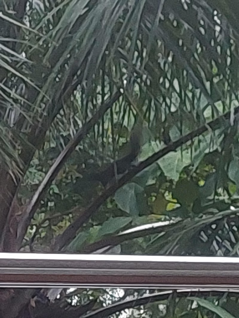 Tier vor unserem Hotelzimmer