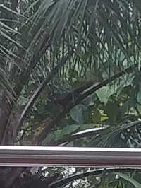 Tier vor unserem Hotelzimmer