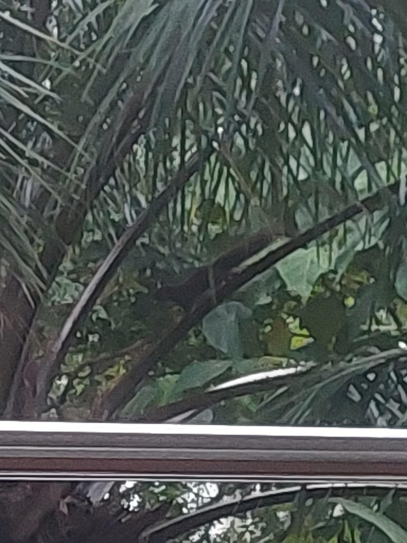 Tier vor unserem Hotelzimmer