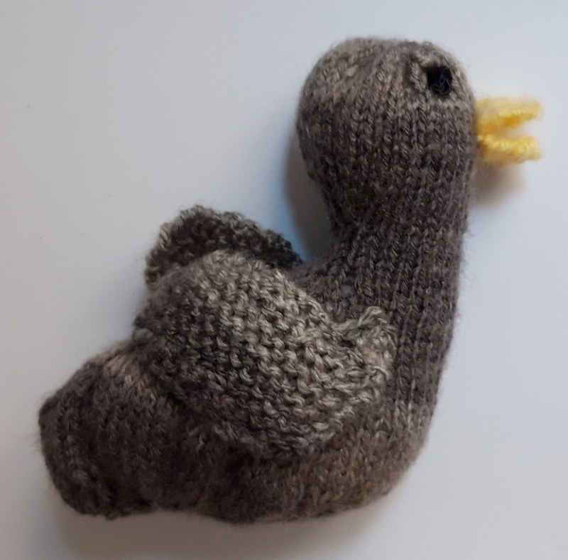 Hässliches Entlein oder schöner Schwan?