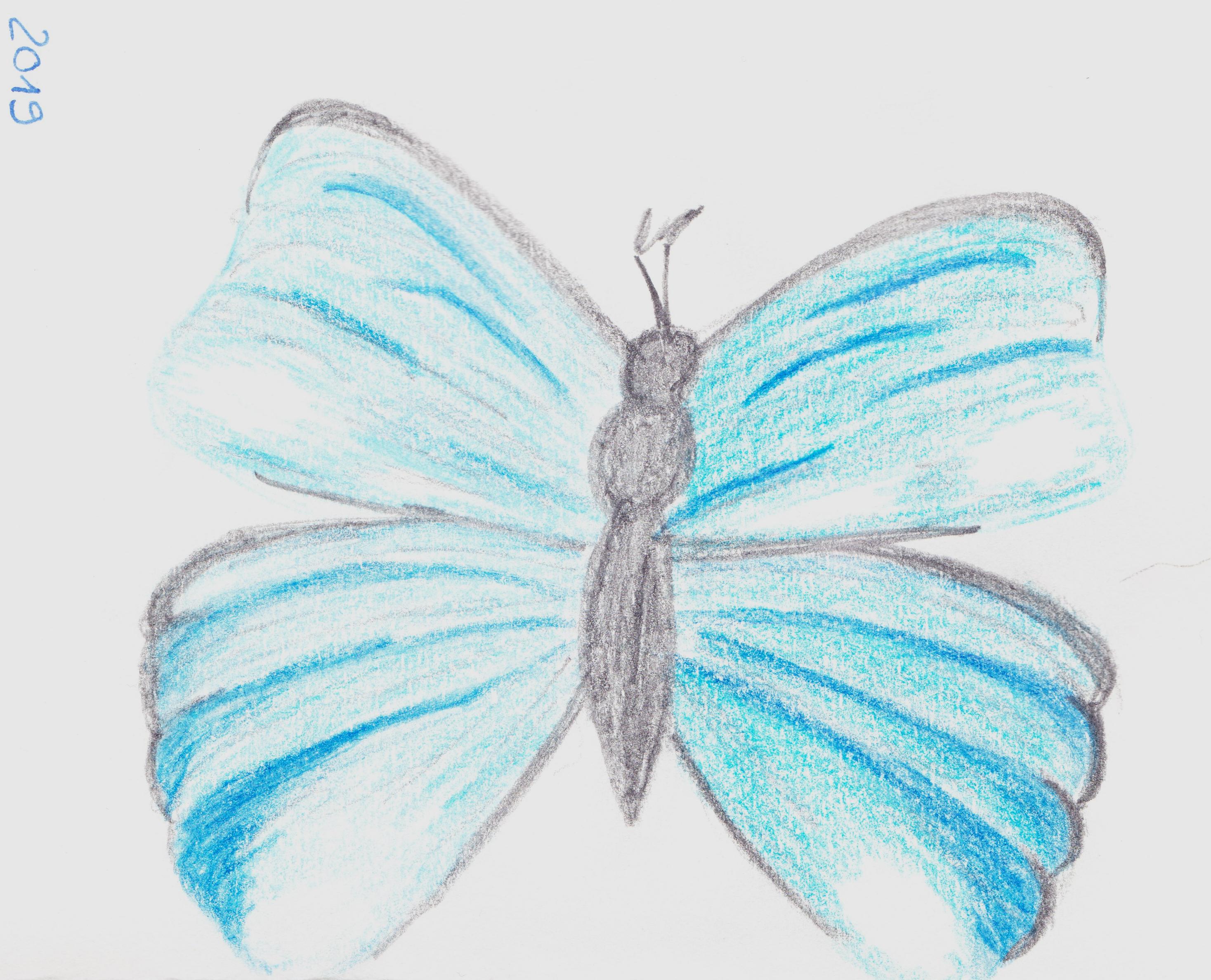 Blauer Schmetterling